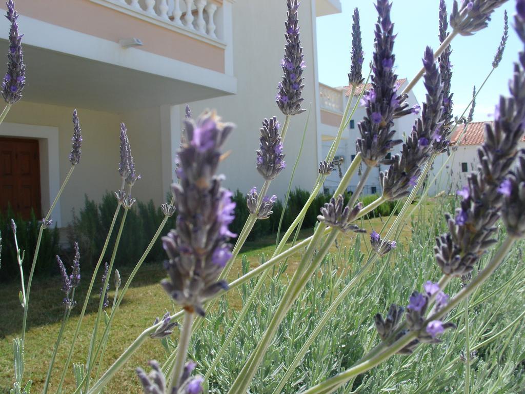 מאראת'וקאמפוס Anemos Apartments מראה חיצוני תמונה